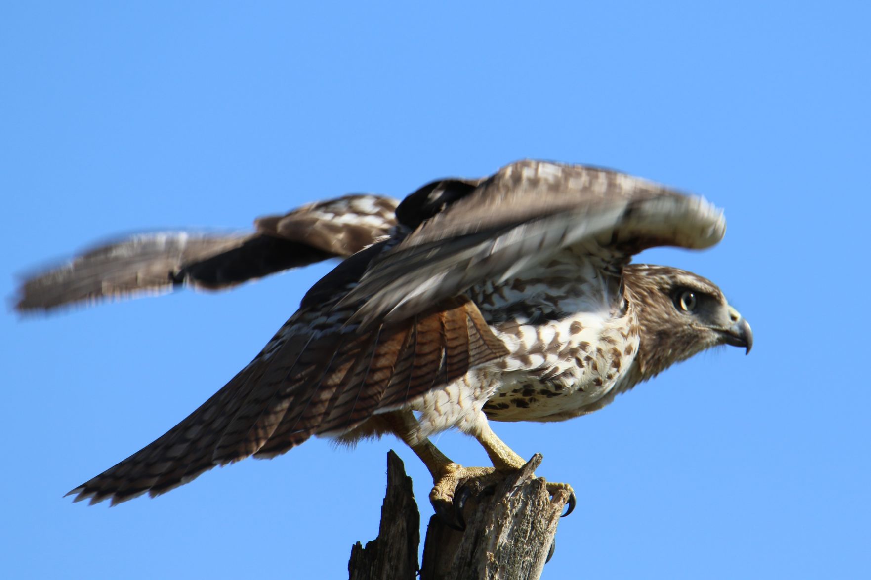 Taking Off